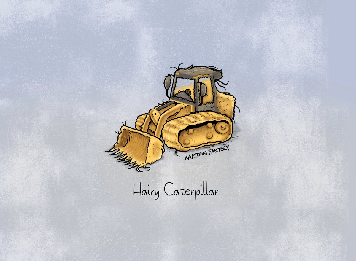 Hairy Caterpillar • Canvas copy