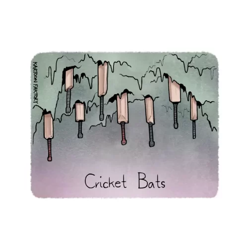 Cricket-Bats-Transparent